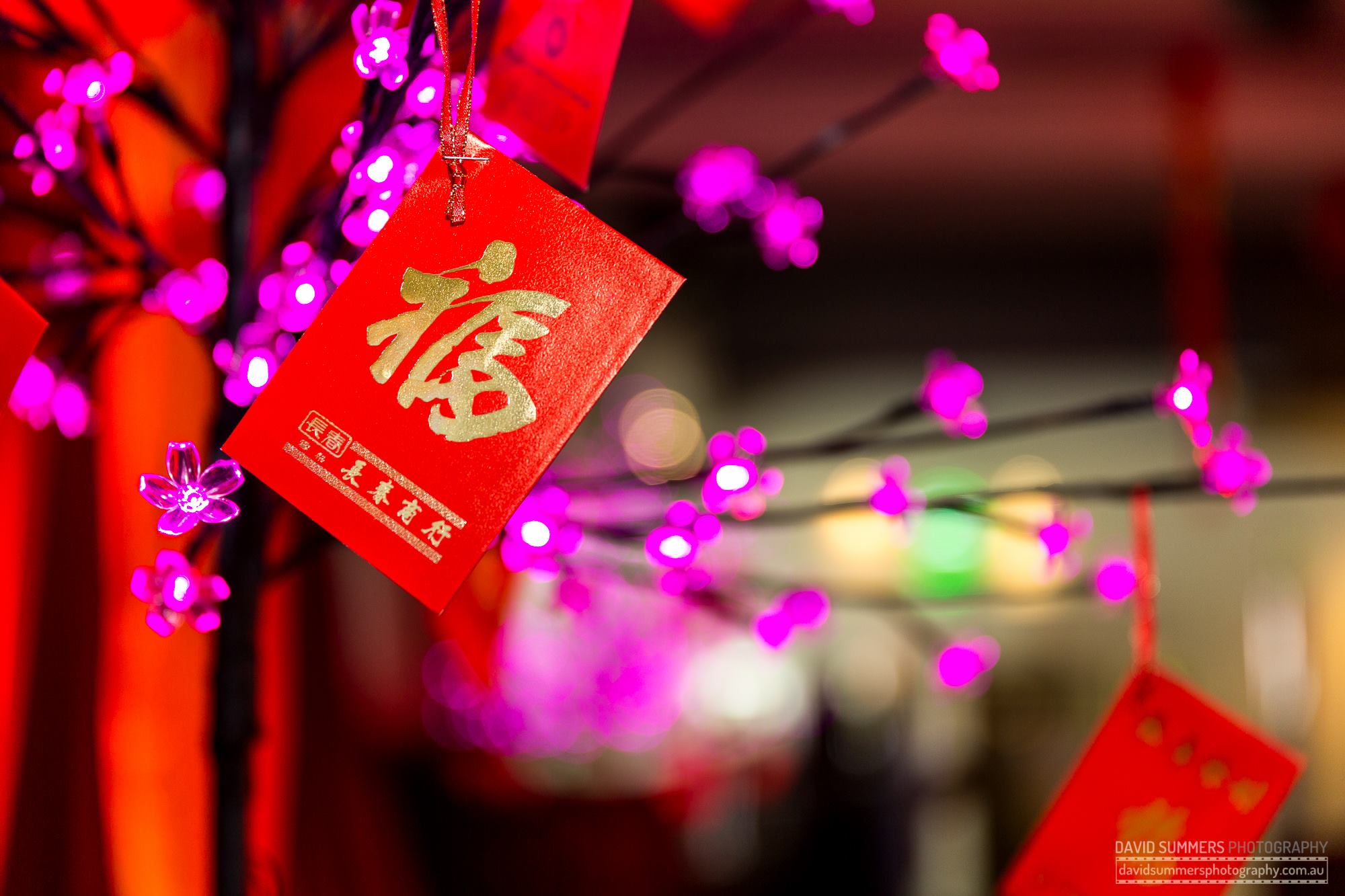 CNY Lei see